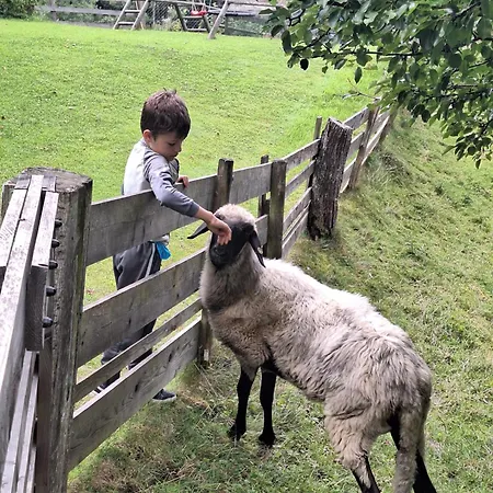 Reithof ゲストハウス 3*