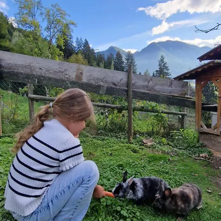 Reithof ゲストハウス ザンクト・ヨーハン・イム・ポンガウ